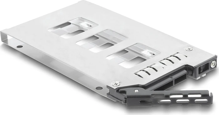 DeLOCK 2.5" Einschub/Carrier für Wechselrahmen 47172