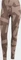adidas Terrex Multi Printed Laufhose lang trace brown/earth strata (Damen) Vorschaubild