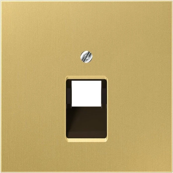 Jung Serie LS Abdeckung für IAE/UAE-Anschlussdose 1x 8-polig, Messing classic