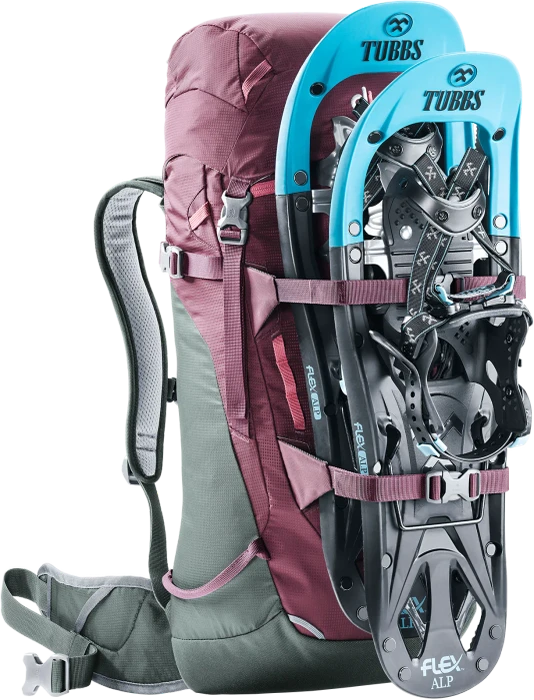 Deuter Rise Lite 26 SL maron/ivy