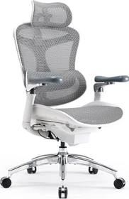 Sihoo Doro C300 Pro Ergonomischer Bürostuhl, weiß