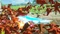 Hyrule Warriors: Zeit der Verheerung (Switch) Vorschaubild