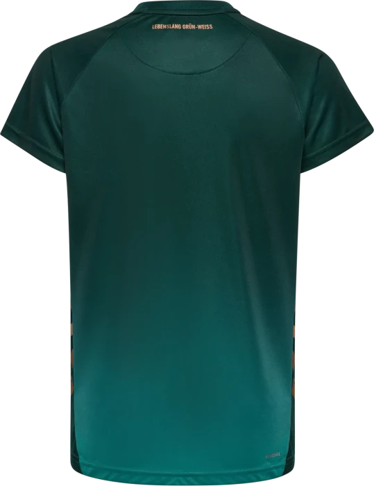 hummel SV Werder Bremen 2025/2026 Ausweichtrikot (Junior)
