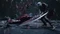 Devil May Cry 5 - Special Edition (PS5) Vorschaubild
