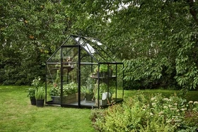 Halls Qube 66 SG 3mm Gewächshaus schwarz