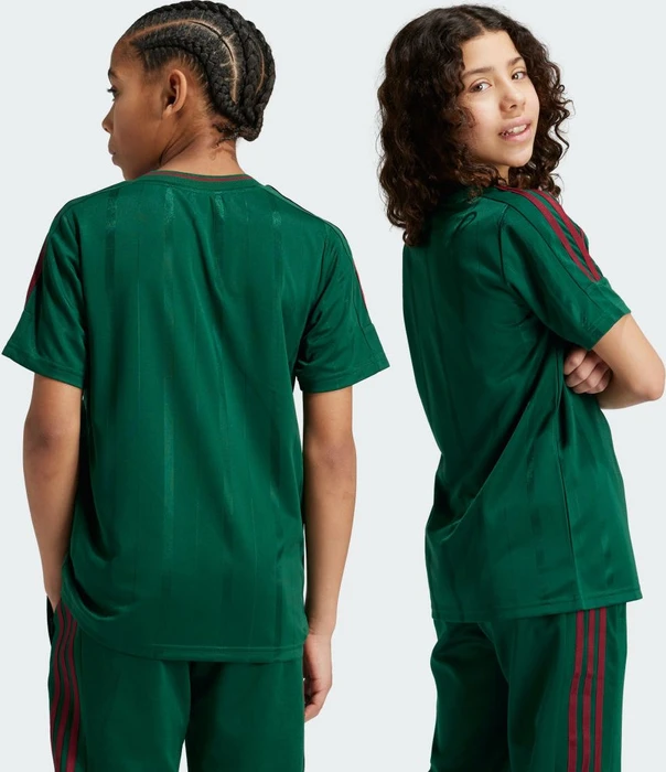 adidas Tiro Nations Pack T-Shirt kurzarm dark green/collegiate burgundy/cloud white (Junior)