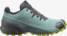 Salomon Speedcross 5 GTX pastel turquoise/ebony/evening primrose (Damen)
