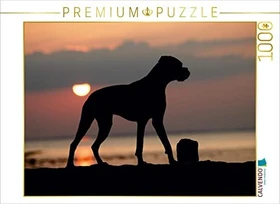 Calvendo Stehender Hund im Sonnenuntergang