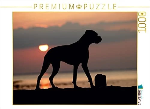 Calvendo Stehender Hund im Sonnenuntergang