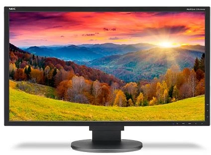NEC MultiSync EA244WMi-BK, schwarz, 24"