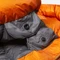 Mountain Equipment Redline Mumienschlafsack marmalade Vorschaubild