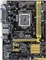 ASUS H81 Vorschaubild