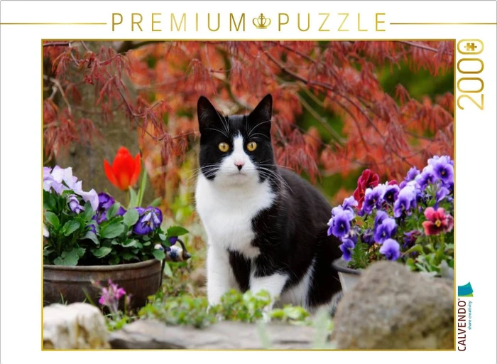 Calvendo Schwarz-weiße Katze im blühenden Garten