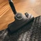 Miele Boost CX1 125 Edition lotosweiß Vorschaubild