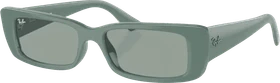 Ray-Ban RB4425 Teru Bio-Based polished algae green/petrol green