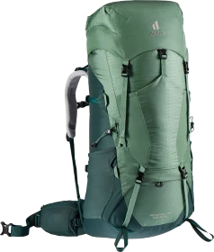 Deuter Aircontact Lite 60+10 SL aloe/forest (Damen)