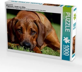 Calvendo Ein Motiv aus dem Kalender Ridgebacks - Hunde aus Afrika