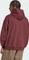 adidas Premium Essentials Hoodie aurora ruby (Herren) Vorschaubild