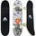 Apollo T-Rex Komplettboard (Junior)