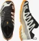Salomon XA Pro 3D V9 GTX black/vanilla ice/turmeric (Herren) Vorschaubild