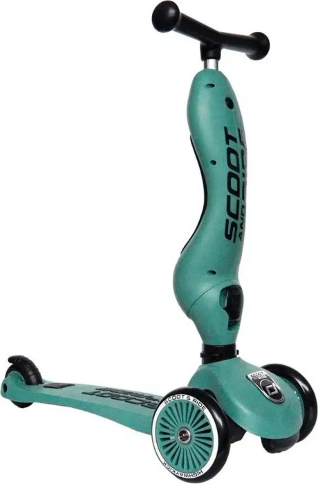 Scoot and Ride Highwaykick 1 Kickboard