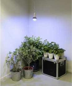 Venso Parus Grow Light Winter E27 18W LED-Pflanzenlampe