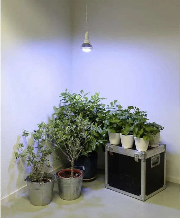 Venso Parus Grow Light Winter E27 18W LED-Pflanzenlampe