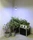 Venso Parus Grow Light Winter E27 18W LED-Pflanzenlampe (E501 210)