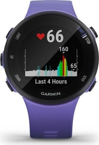 Garmin Forerunner 45S iris