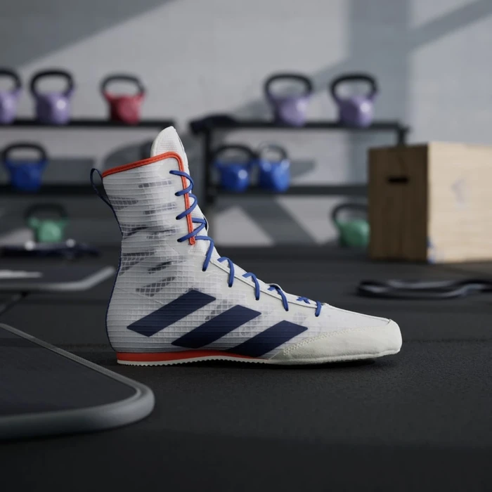 adidas Box Hog 4 cloud white/dark blue/royal blue