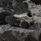adidas Eastrail 2.0 wonder beige/grey six/bronze strata (Herren) Vorschaubild