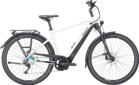 Pegasus Premio Evo 10 Lite 750Wh metallic off white Modell 2023 (Herren)