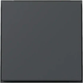 Gira System 55 Wippe, anthrazit