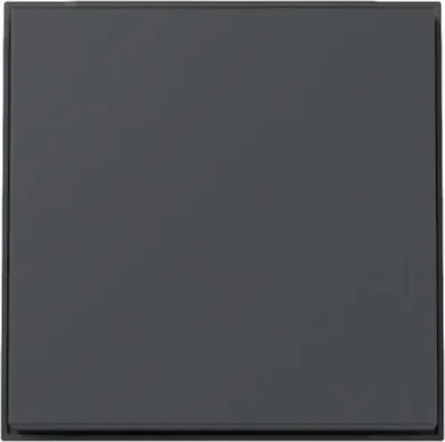 Gira System 55 Wippe, anthrazit