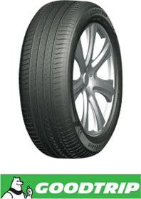 Goodtrip BlueGuard 205/60 R16 92V