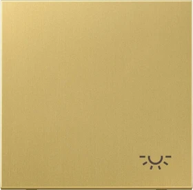 Jung Serie LS Wippe Symbol Licht, Messing classic