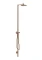 Hansgrohe Axor Starck Nature Duschsäule mit Kopfbrause 240 1jet brushed red gold Vorschaubild