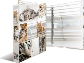 Herma 4D Ringbuch 4-Ring, 30mm, A4, Motiv Katzen