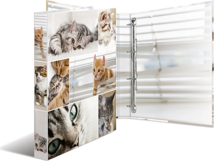 Herma Ringbuch A4 4D