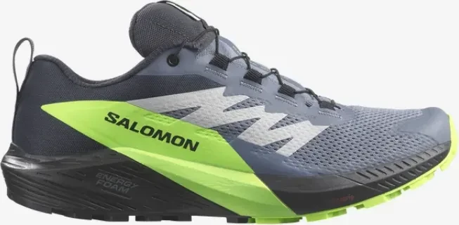 Salomon Sense Ride 5 GTX flint stone/black/green gecko (Herren)