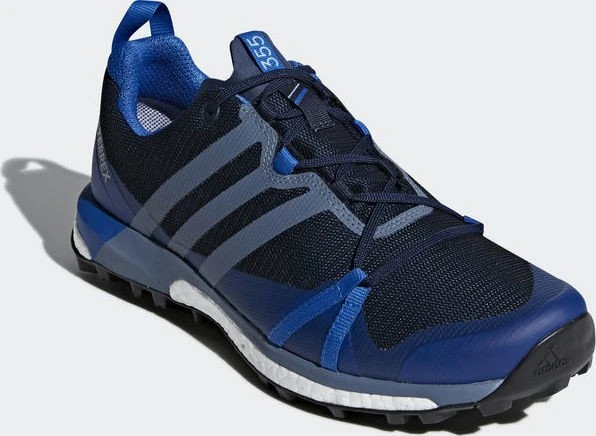 adidas Terrex Agravic GTX collegiate navy/raw steel/blue beauty (Herren)