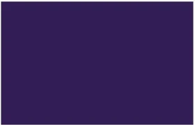 Liquitex Professional Spray Paint dioxazine purple, 400ml