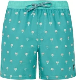 Protest Parco Badeshorts wave green (Herren)