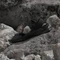 adidas Terrex Hydroterra core black/grey four Vorschaubild