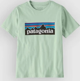 Patagonia P-6 Logo T-Shirt kurzarm thin ice (Junior)