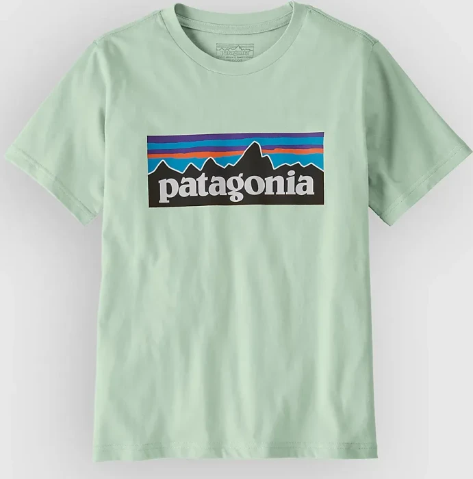 Patagonia P-6 Logo T-Shirt kurzarm thin ice (Junior)