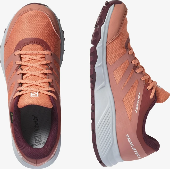 Salomon Trailster 2 GTX persimon/pearl blue/wine tasting (Damen)