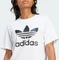 adidas Trefoil Regular T-Shirt kurzarm weiß (Damen) Vorschaubild