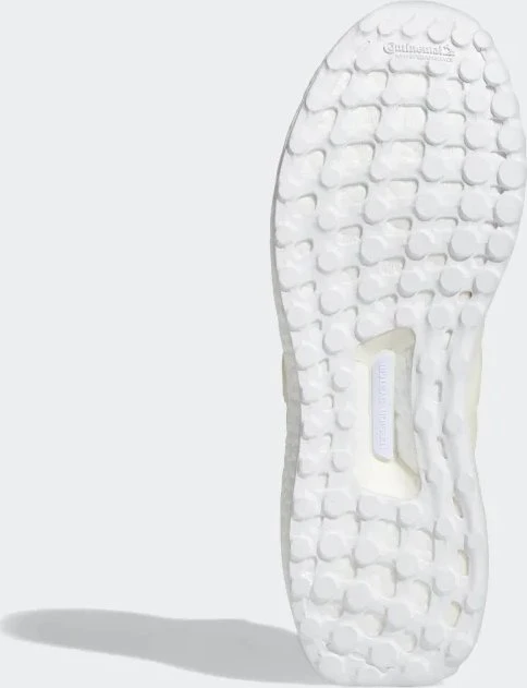 adidas Ultraboost DNA 5.0 chalk white/cloud white (Herren)