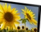 Samsung UE19H4000 Vorschaubild